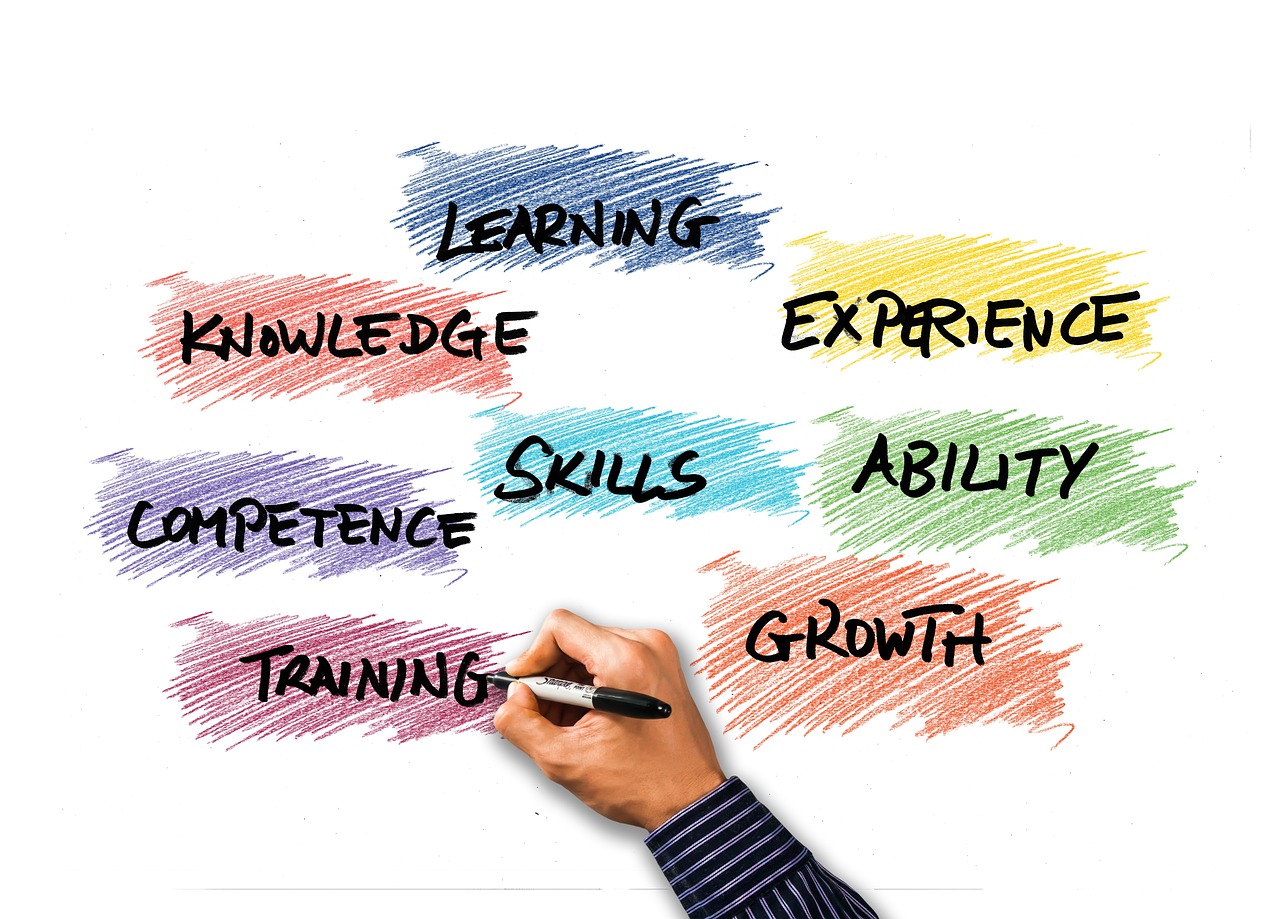 Skills, learning, knowledge, experience, ability, competence, training, growth